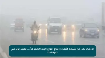 الأرصاد تحذر من شبورة كثيفة وارتفاع أمواج البحر الأحمر غداً… فكيف تؤثر على تحركاتك؟